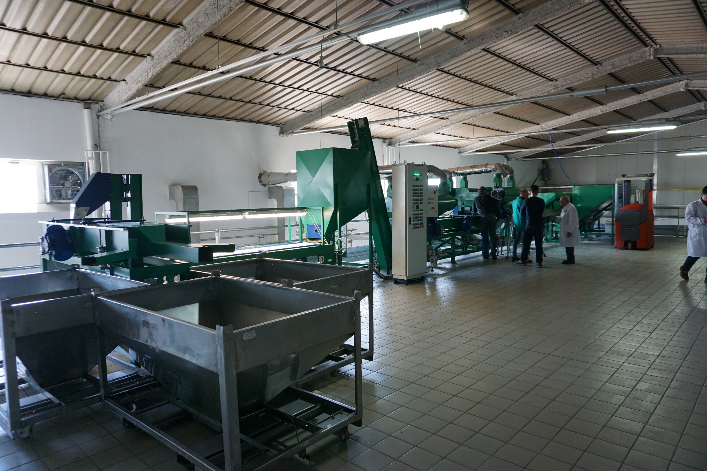 walnut shelling line